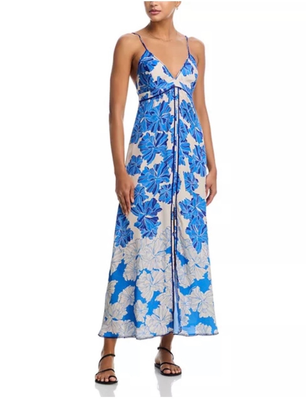 Poupette St. Barth Blue and White Floral Maxi Dress